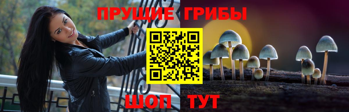 Псилоцибиновые грибы MAGIC MUSHROOMS  Вход с VPN  Галлюциногенные грибы Magic Shrooms  где найти   Кумертау 