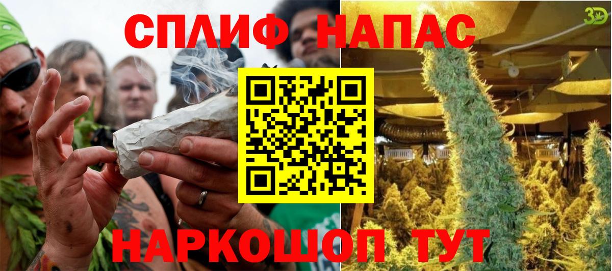 Кумертау  МАРИХУАНА планчик  Вход с VPN  Канабис сатива 
